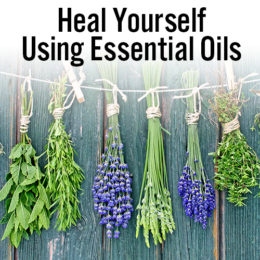 Heal Yourself Using Essential Oils - 10 Lesson Course -- SAVE 40% OFF!