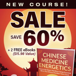 Chinese Medicine Energetics Course